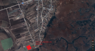 SHELLY PROPERTIES &PRO NADLAN LAND