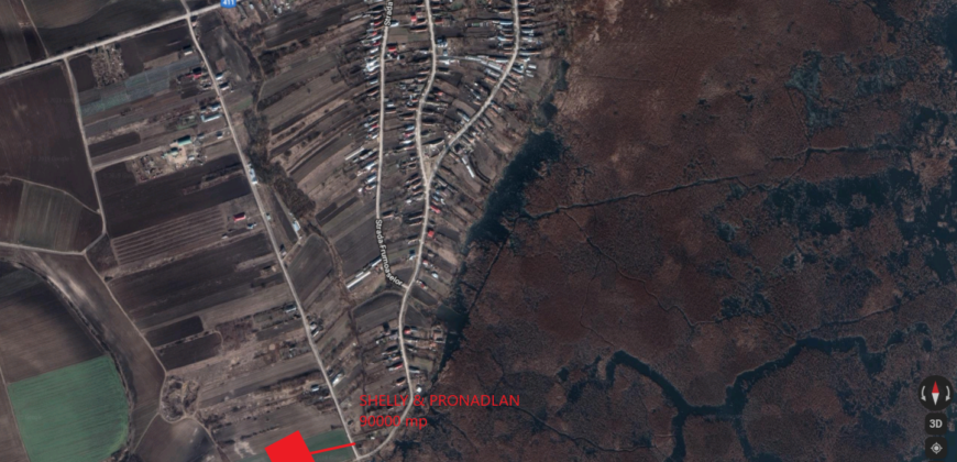 SHELLY PROPERTIES &PRO NADLAN LAND
